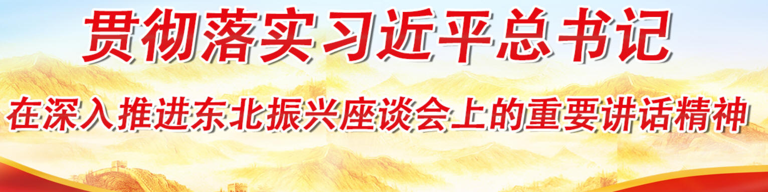 貫徹落實習近平總書記在深入推進東北振興座談會上的重要講話精神
